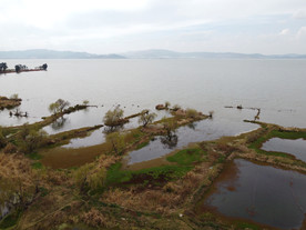 滇池湿地