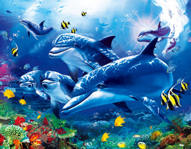 海底世界
