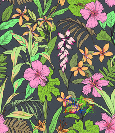 服装印花eps背景图