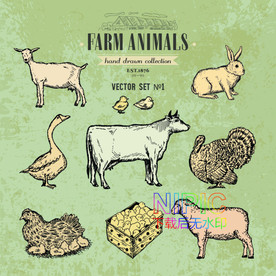 牛兔子eps背景图