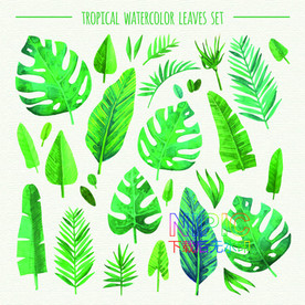 叶子eps矢量格式