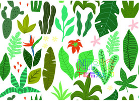 叶子eps矢量格式