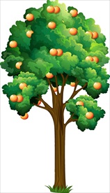 果树
