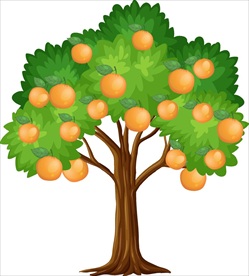 果树