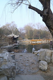 初春风景