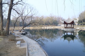 初春风景