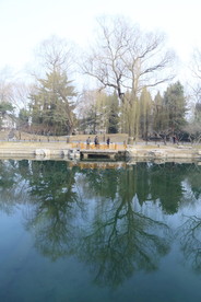 初春风景