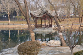 初春风景