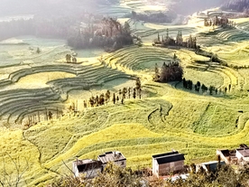 风景 景区 自然 云海 草原