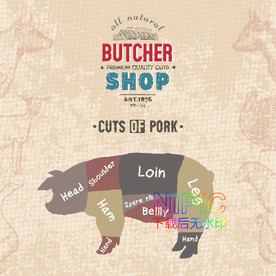 动物eps模板下载