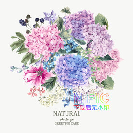 鲜花eps模板下载