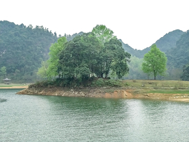 湖心岛