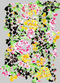 花花