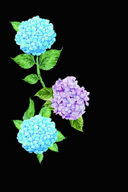 花花
