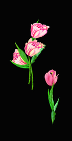 花