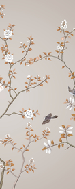 花鸟