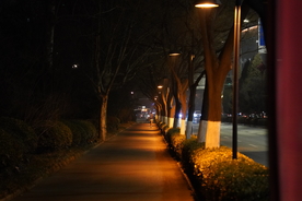 街景