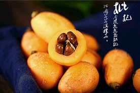 枇杷