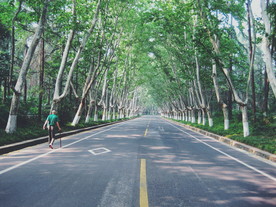 路