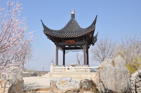 早春的公园景观