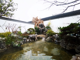 中式别墅庭院图片