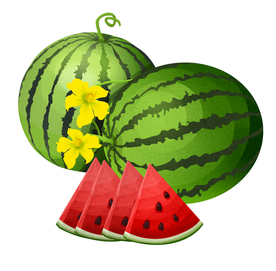 手绘西瓜素材