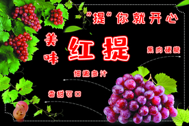 美味红提