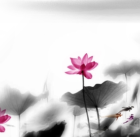 装饰画 新背景墙 瓷砖背景墙