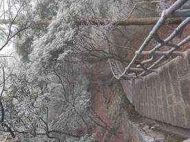 黄山下山云海