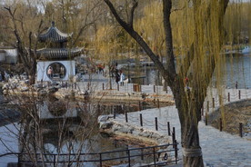 初春风景