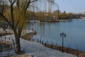 初春风景