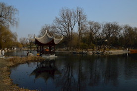 初春风景