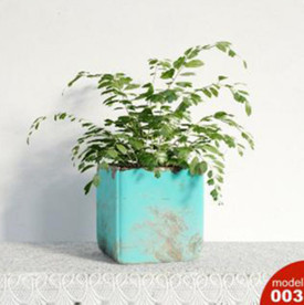 3DMAX模型植物花卉景观