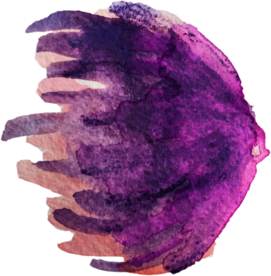 手绘水彩花卉花型花瓣