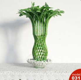 3DMAX模型植物花卉景观