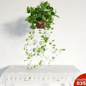3DMAX模型植物花卉景观