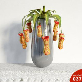 3DMAX模型植物花卉景观