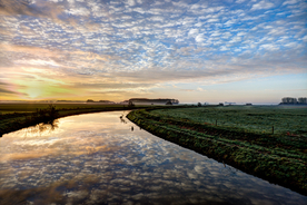 春季夕阳景观