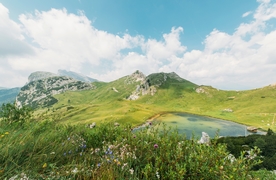 春季自然景观