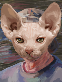 猫咪插画