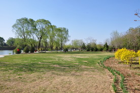 清明时节北京踏青郊游的好地方