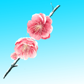 手绘梅花