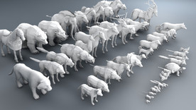 C4D模型地面体小动物卡通