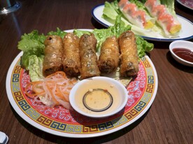 越南炸春卷