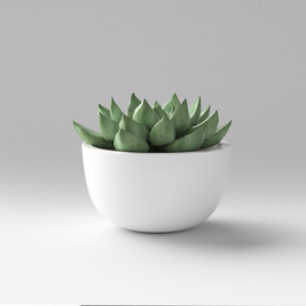 C4D模型盆栽绿色植物多肉插花