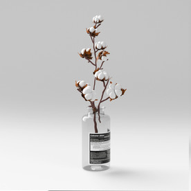 C4D模型盆栽绿色植物棉花插花