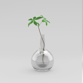 C4D模型盆栽绿色植物叶子插花