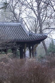 初春风景