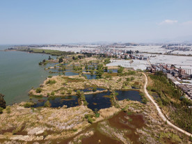 滇池湿地