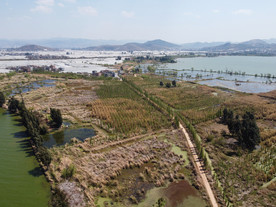 滇池湿地